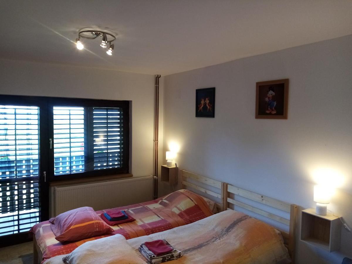 Apartman Potocki คาปรินา ภายนอก รูปภาพ