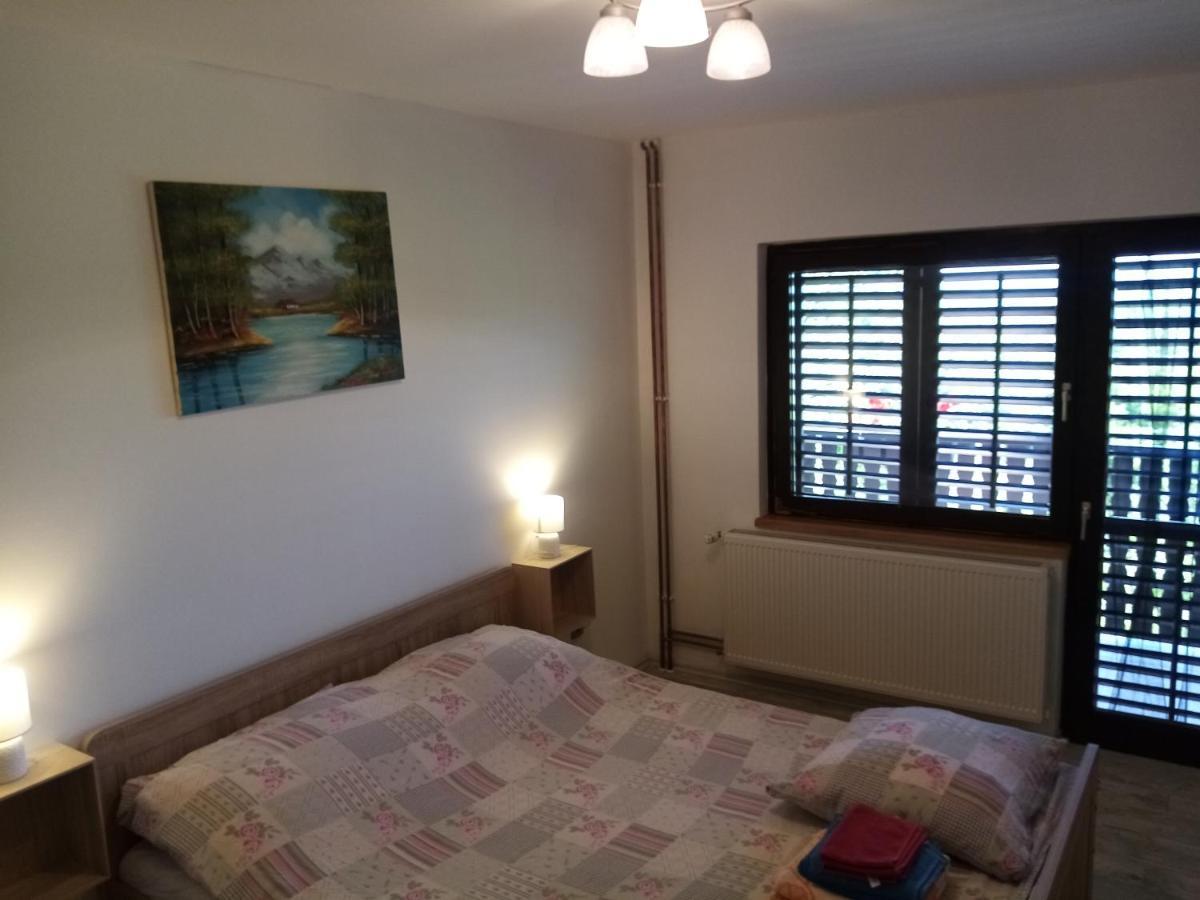 Apartman Potocki คาปรินา ภายนอก รูปภาพ