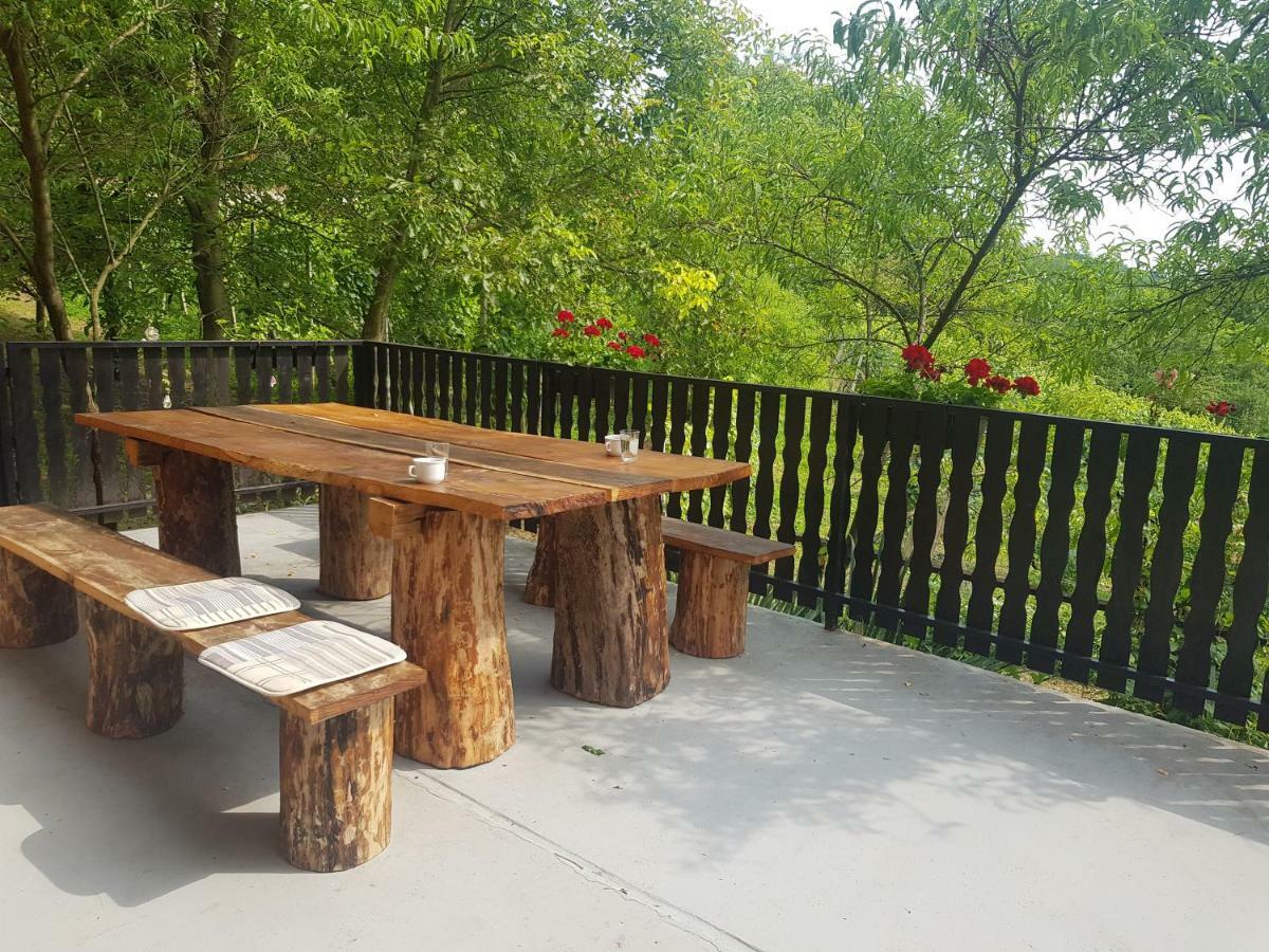 Apartman Potocki คาปรินา ภายนอก รูปภาพ