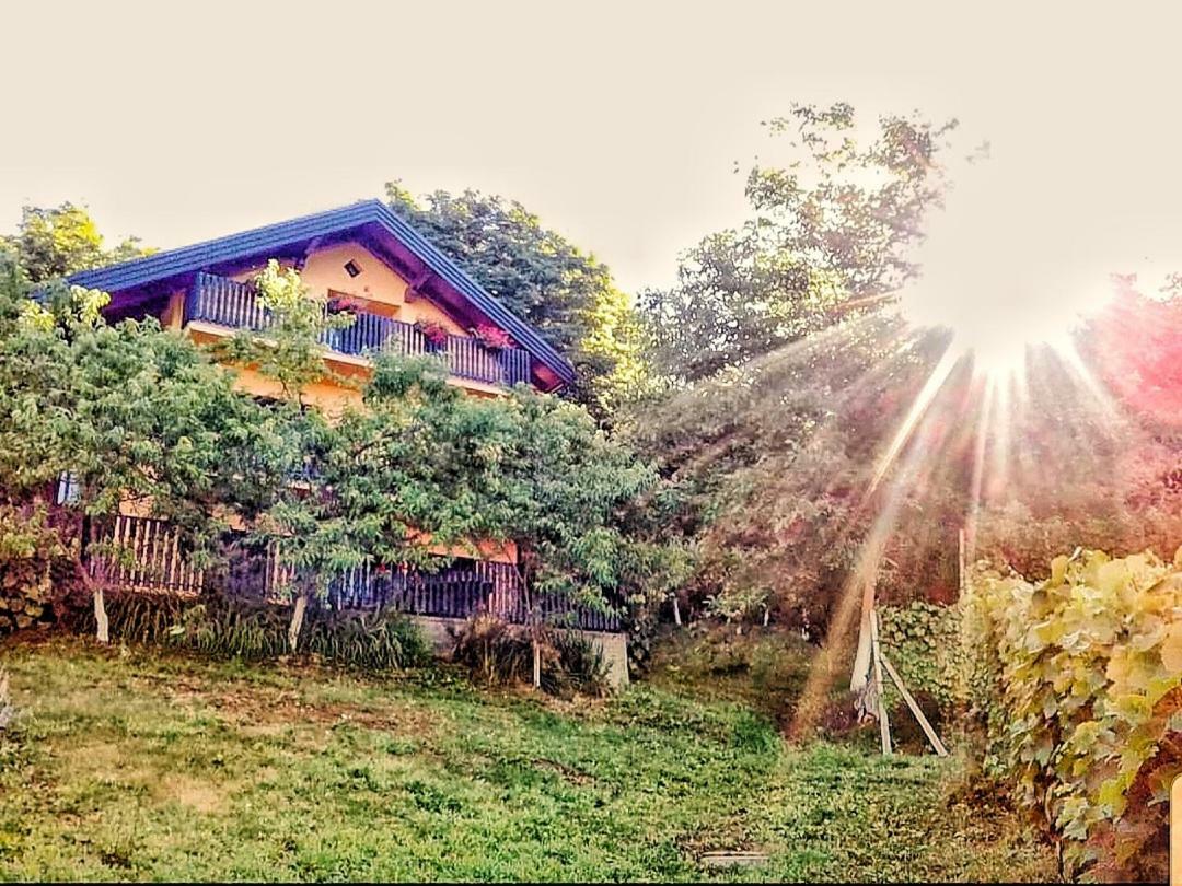 Apartman Potocki คาปรินา ภายนอก รูปภาพ
