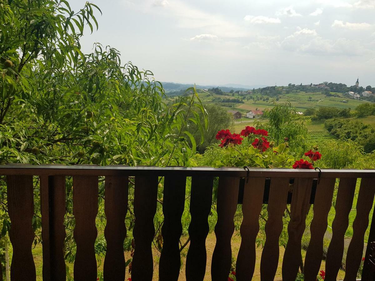 Apartman Potocki คาปรินา ภายนอก รูปภาพ